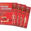 BD Chaurasia's Human Anatomy Volume 1-4 (Color)